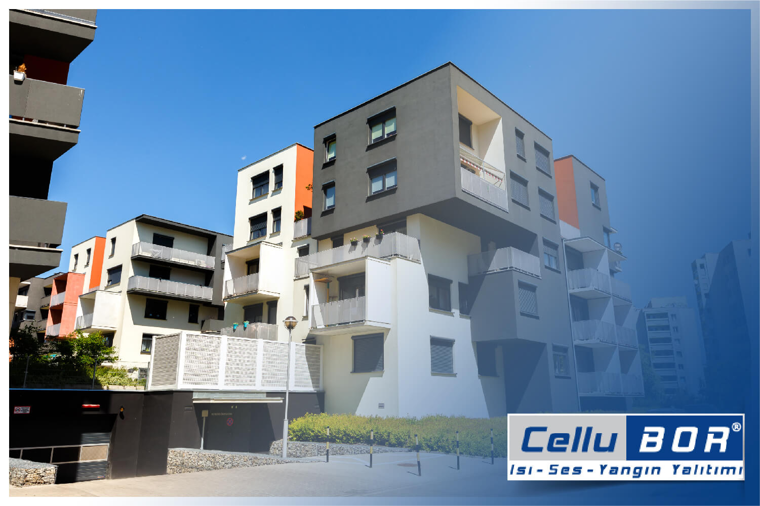 CelluBOR
