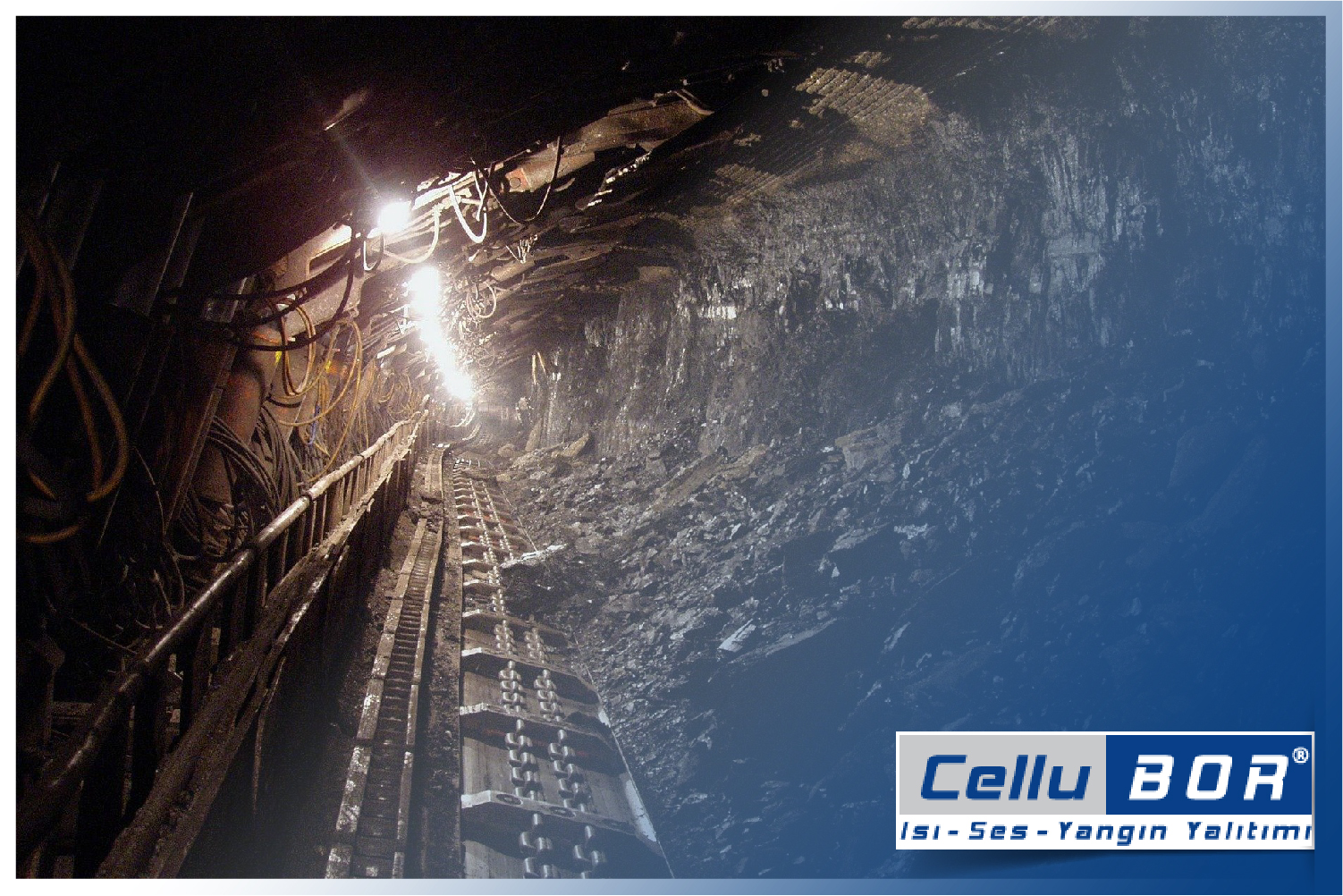 CelluBOR