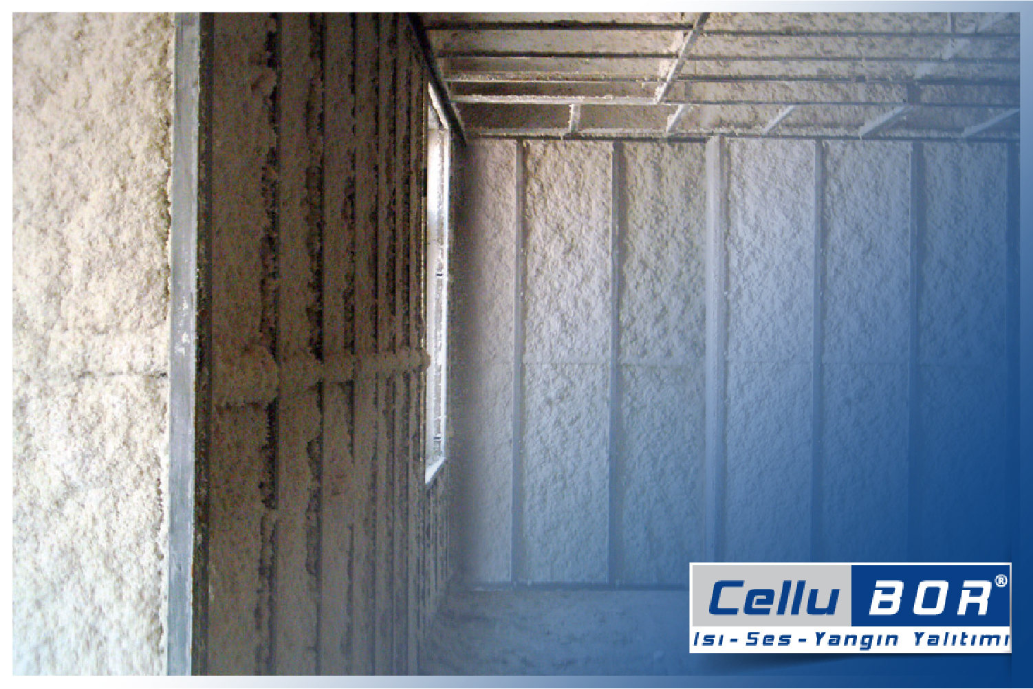 CelluBOR